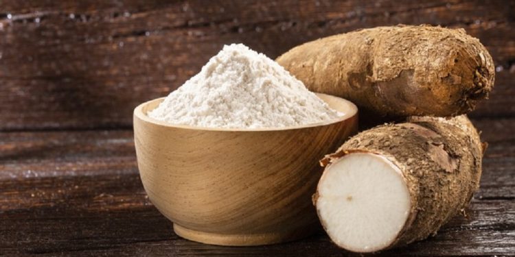 Cassava starch 1