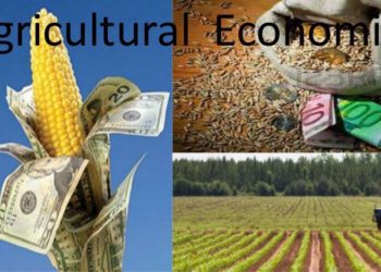 agric economy