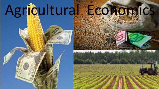 agric economy