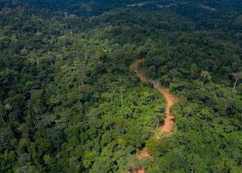 Atewa Fores in an aerial view