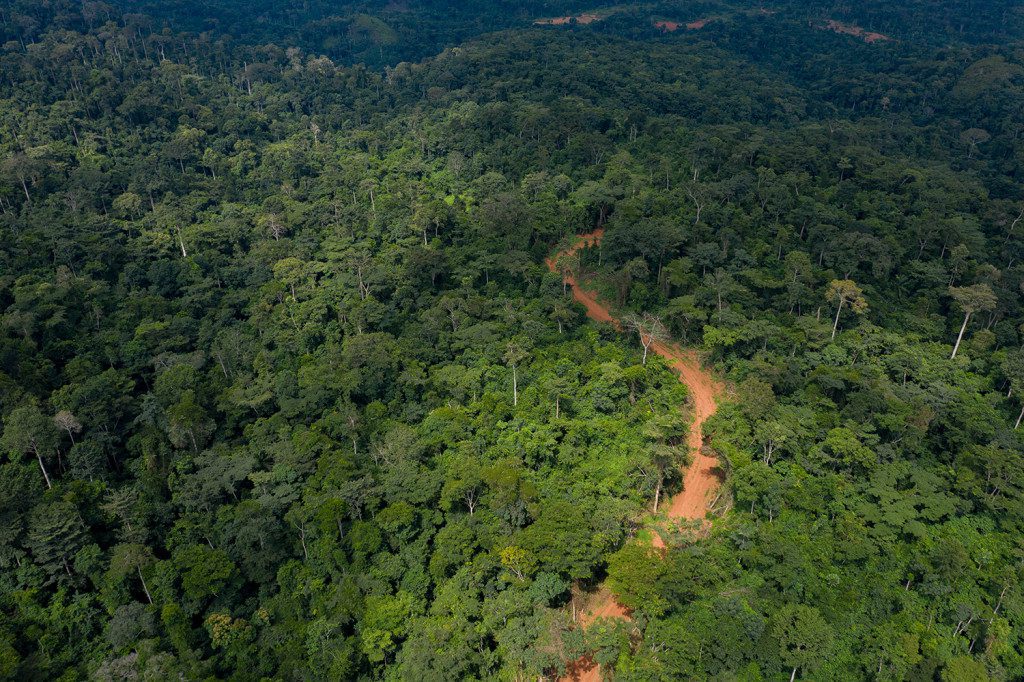atewa forest