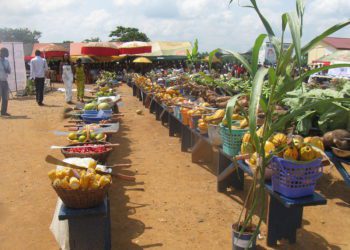 An event in Ghana with harvested produce on display
