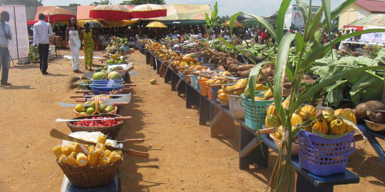 An event in Ghana with harvested produce on display
