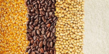 grains
