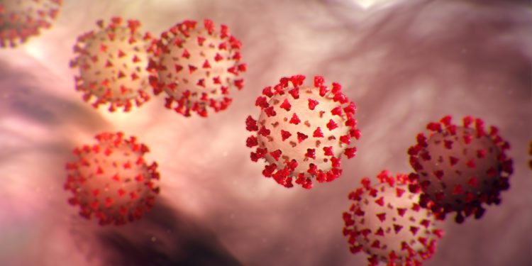 outbreak coronavirus world