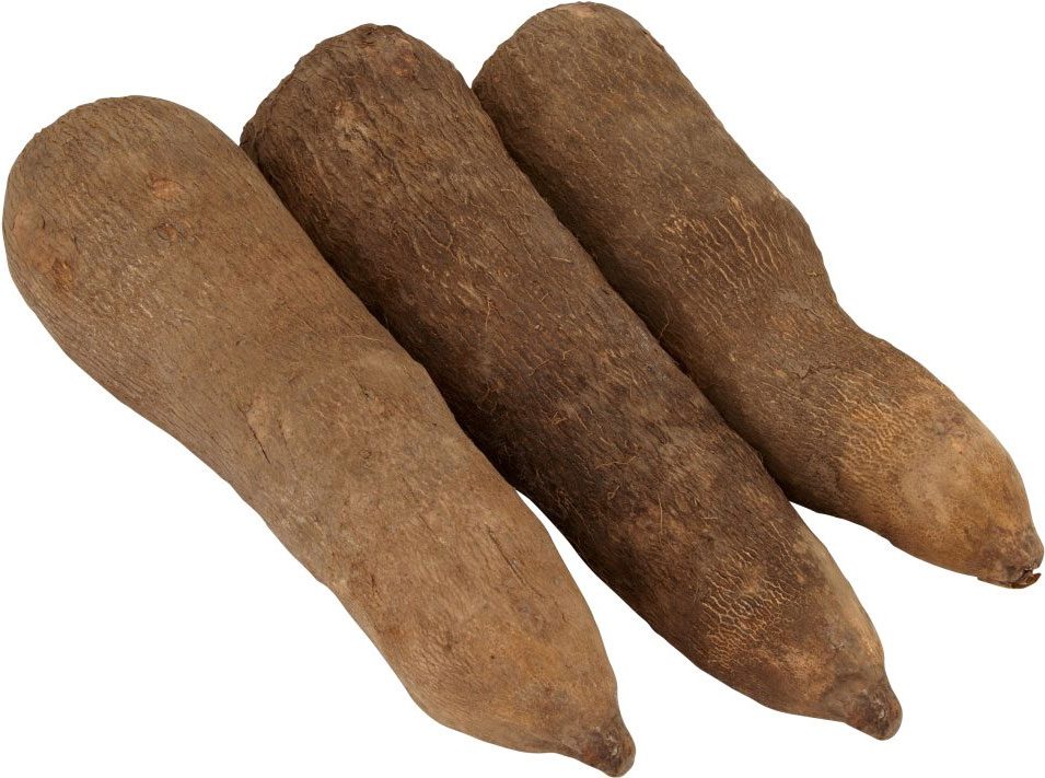 yam 1