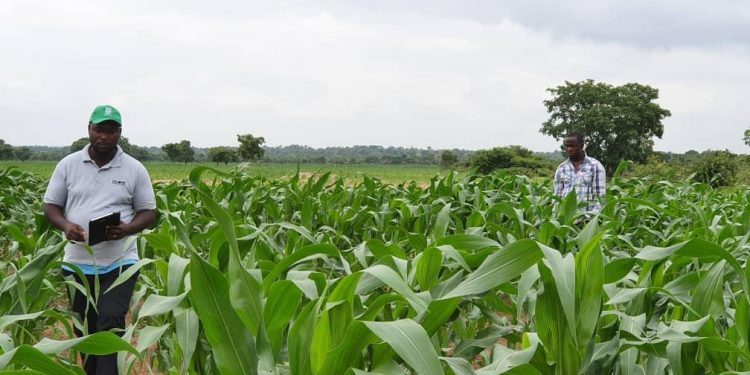 A Farm supported by the 2019 Agribooster Program 750x375 1