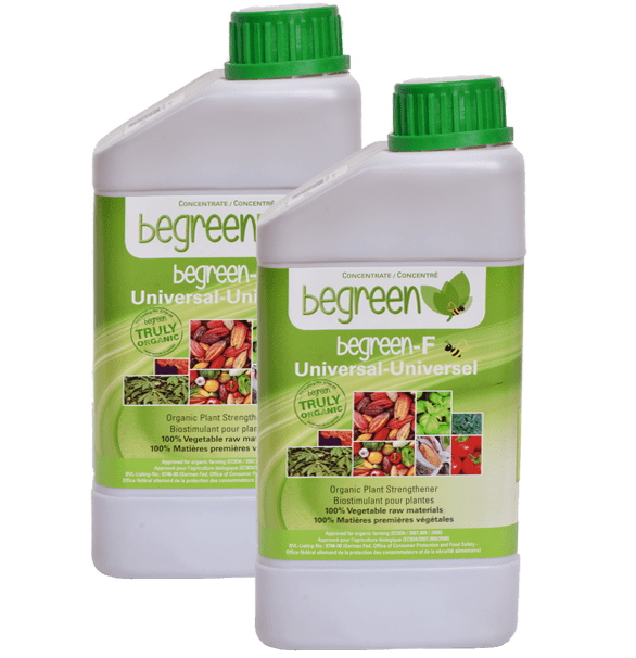 Begreen 1