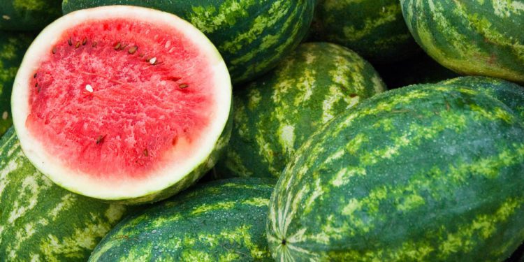 Pile of melons in stall  with one cut for viewing.