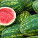 Pile of melons in stall  with one cut for viewing.