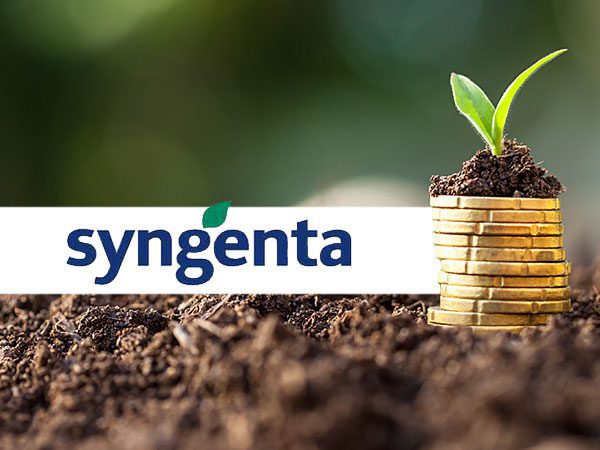 syngenta top 090315