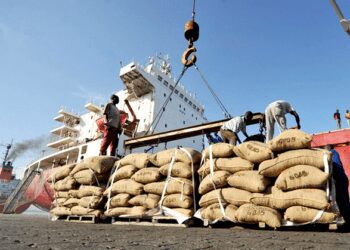 $4 Billion Cocoa Inflows to Rescue Cedi