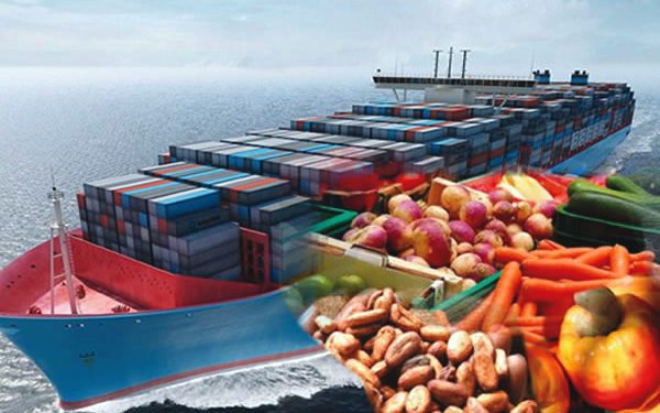 World merchandise trade volume is forecast to fall 9.2% in 2020 - WTO 1 10 Hottest Agricultural Export Products in Nigeria