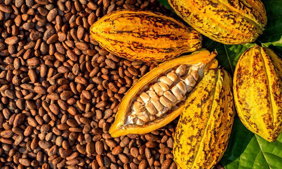 Cocoa 2