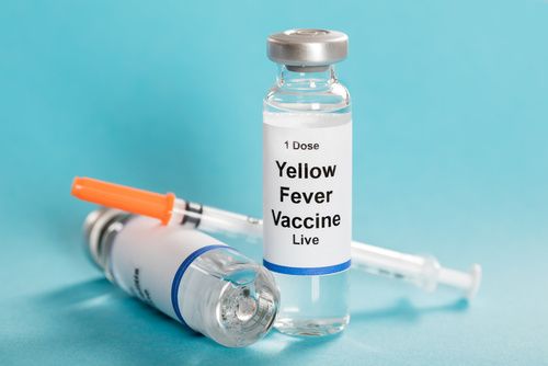 Phase B of Yellow Fever Vaccination To Start in Ho- GHS 2 4c144d5b404a05bc0927eb57c40cd505e1d0ee6b 500x334 1