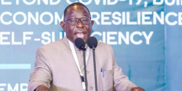 Mr Wisdom Ahiataku-Togobo, the Director of Renewable and Alternative Energies, Ministry of Energy