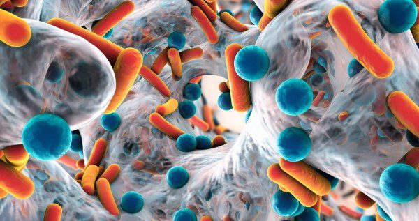 Increasing Spread Of AMR Remains A Public Health Concern- Health Minister 2 amr