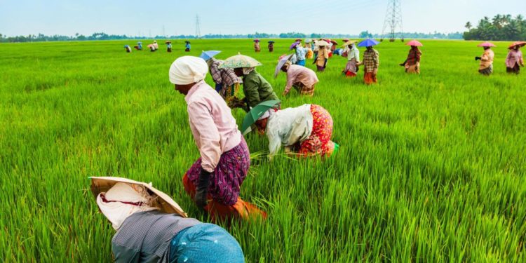 Agriculture records best performance since 2017