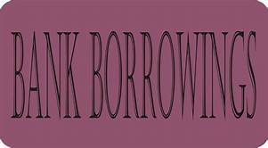 Bank’s Borrowings Decline