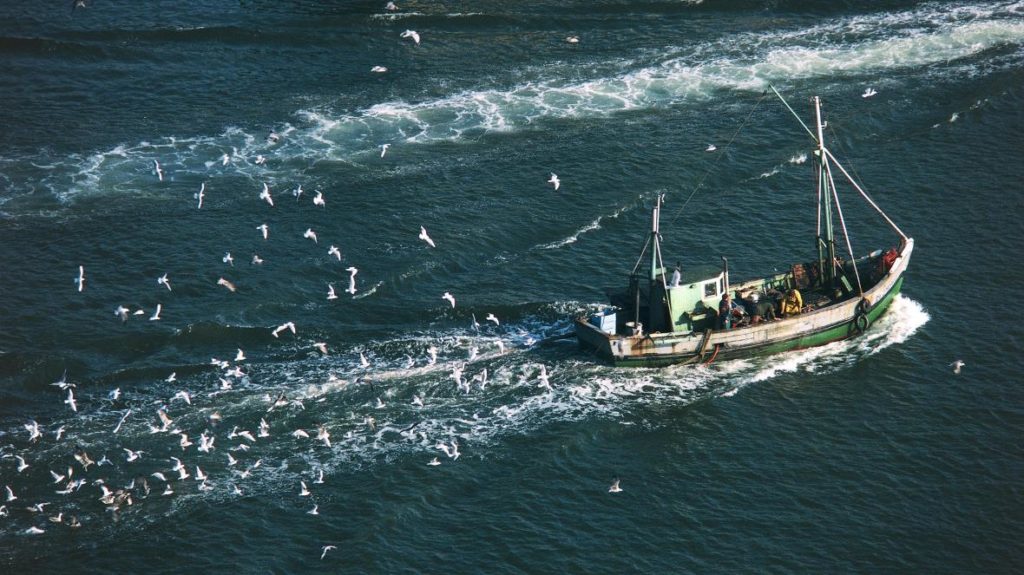 Brexit deal: Some Progress, but big gaps remain 2 fishing 1