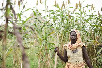 least developed countries to experience decline in GNI percapita by 2020