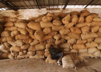 A worker sits near a pile of sacks of cocoa at a warehouse in Soubre, Ivory Coast January 8, 2021. Picture taken January 8, 2021. REUTERS/Luc Gnago