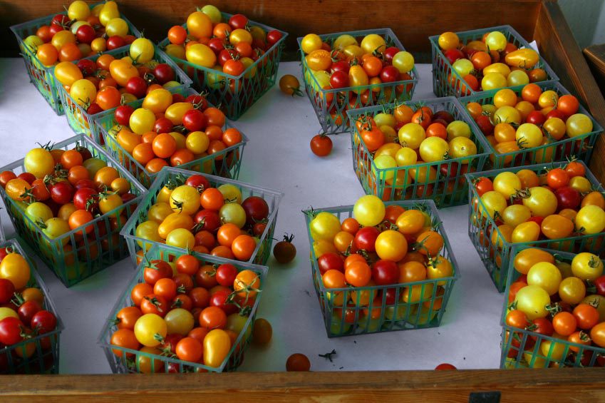 Crates