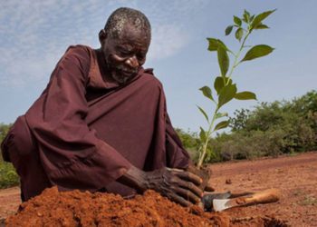 World Bank to invest $5 billion in African Drylands