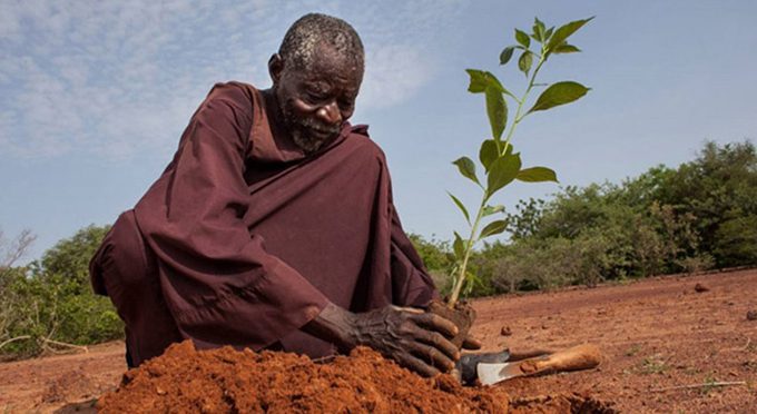 World Bank to invest $5 billion in African Drylands 1 World Bank to invest $5 billion in African Drylands