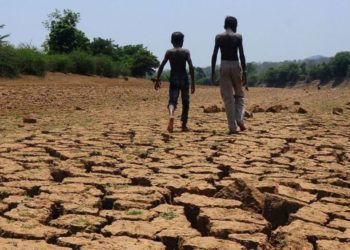 Youth Inclusion In Climate Change Important- Dr. Amoah