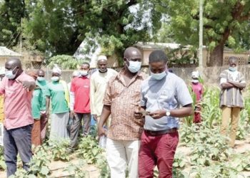 AMG Ltd schools farmers on fertilizer application 1 Webp.net resizeimage 1