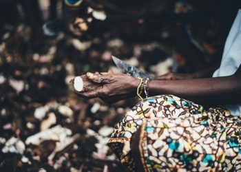 annie spratt ZgHEZLVec9g unsplash domaine public small
