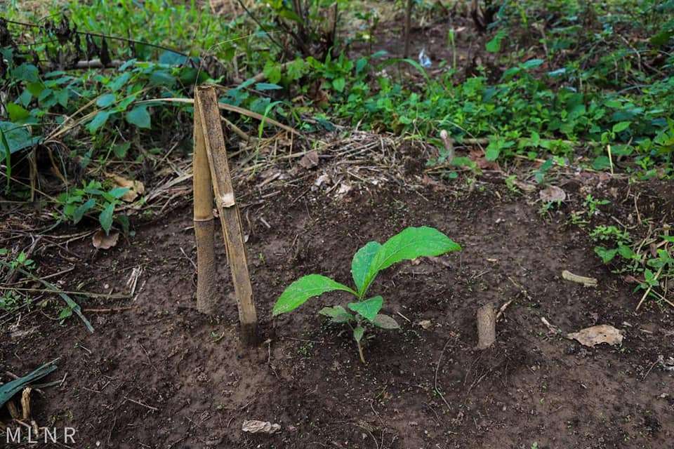 240766042 4255499971169793 2181246955507379942 n