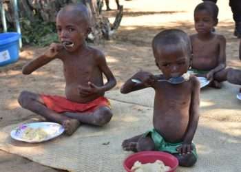 Madagascar risks facing worst Famine since 1981 as Drought Persist