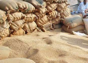 Global food prices decline in July