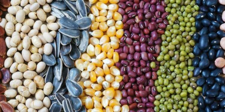 seeds