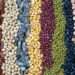 seeds