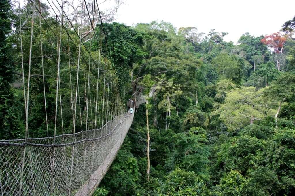 Lands Minister Avers Ecotourism Can Contribute To Revenue Generation 2 Kakum