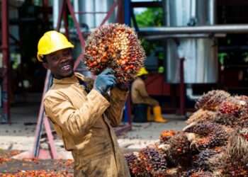 The Oil Palm Development Association of Ghana (OPDAG), has called on government to immediately reconsider its decision on the indefinite suspension of the implementation of the review of the 50% benchmark policy reduction.