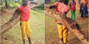 Stop Comparing me to Jesus- Traumatized Teenager who was Nailed to a Tree Cries out