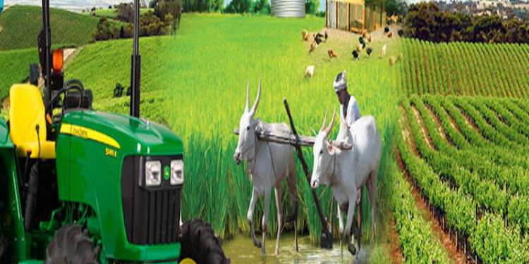 13549dc8 agricultural