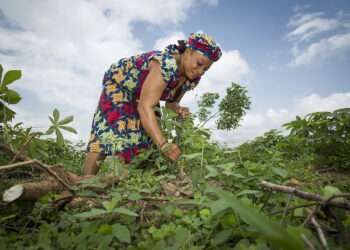 The 'Mouth-Touted' Benefits Of The PFJ Might Be A Mirage- PFAG 4 A farmer on the field