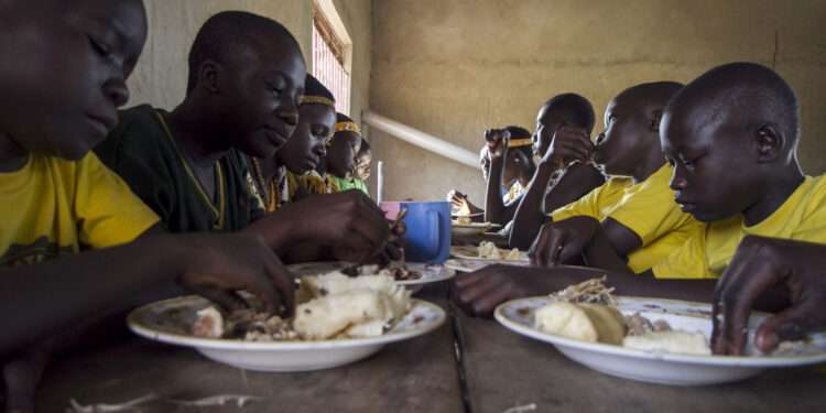 Some Ghanaian Households Still Food Insecure - Report