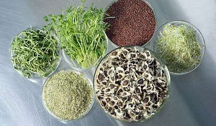 PhytoChem 8