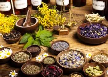 WHO To Establish Global Centre For Traditional Medicine In India 1 WHO To Establish Global Centre For Traditional Medicine In India