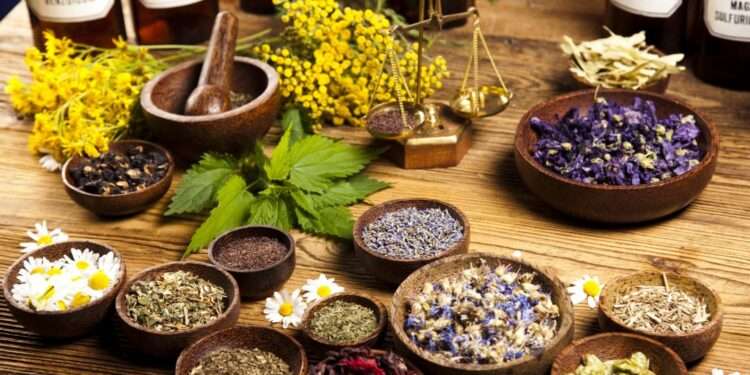 WHO To Establish Global Centre For Traditional Medicine In India