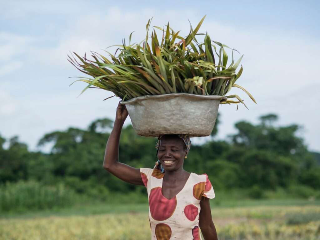Farmers Can't Stop Farming Because Fuel Prices Keep Increasing- John Dumelo 2 ghana farming header 1