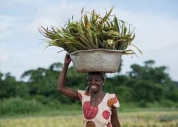 ghana farming header