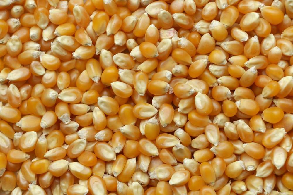 photo 1623066798929 946425dbe1b0