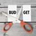 We Need Clarity On What Expenditures Are Going To Be Cut - Tax Policy Analyst
